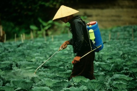 农药产品是农业生产中重要的投入资料，为了确保老百姓可以购买到安全放心的农药产品，东营市农业局在全市农药市场开展专项打假行动，并对农药制假售假源头进行追溯，以保障农产品质量安全稳定。
