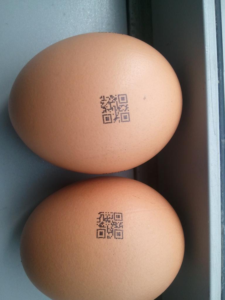 立信创源利用一物一码二维码溯源系统，能将人们吃的鸡蛋变成了“要吃到好鸡蛋，更要认识下蛋的母鸡”。